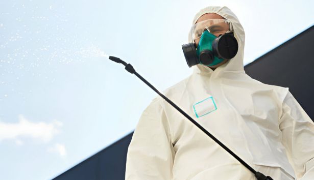 Pest Control Darley